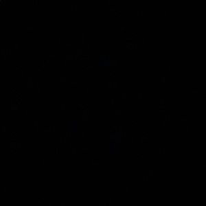 Meet your Posher, Ava